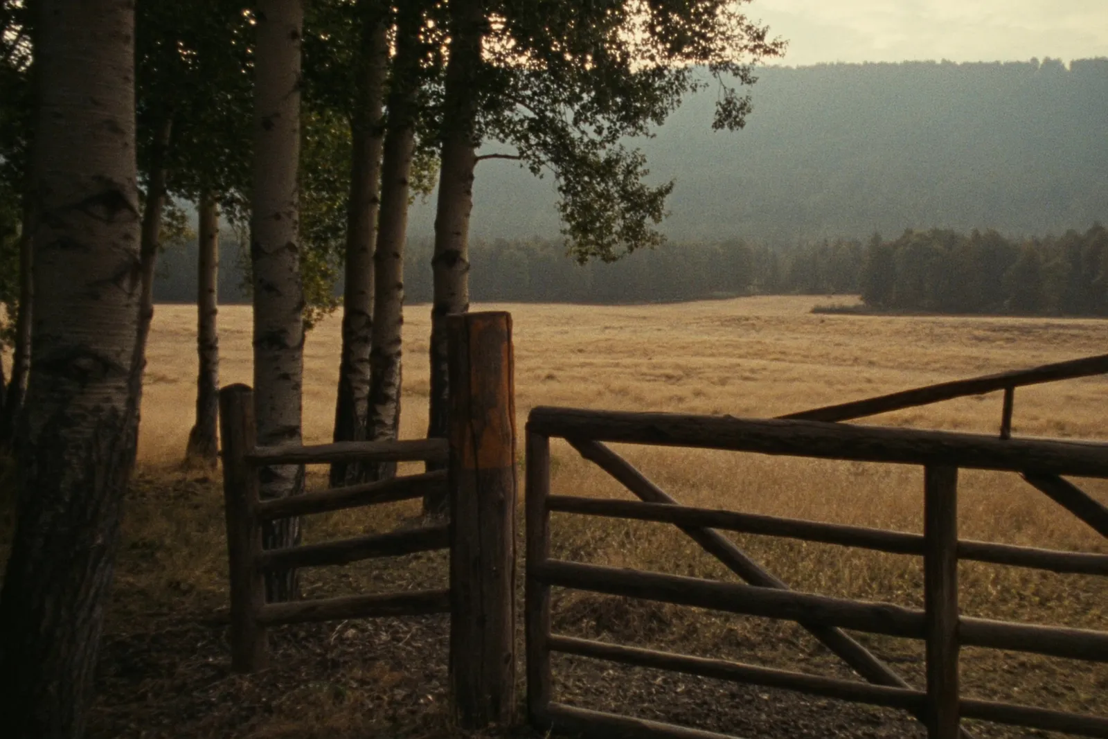 Working private hunting land at golden hour